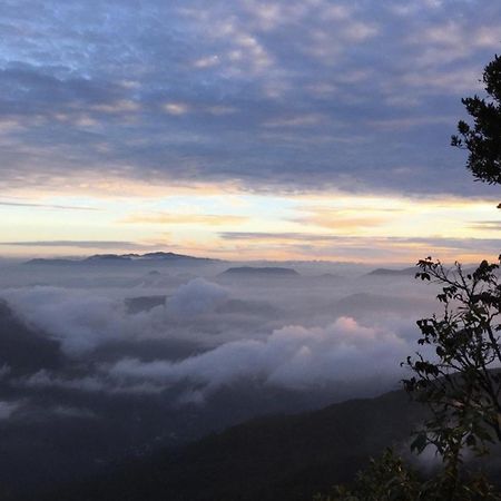 Wanakaset Forest Glamping Kitulgala Ngoại thất bức ảnh