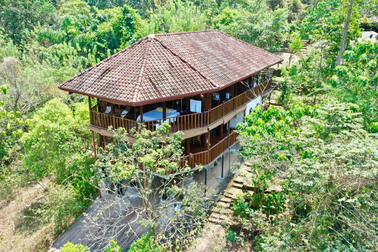 Wanakaset Forest Glamping Kitulgala Ngoại thất bức ảnh