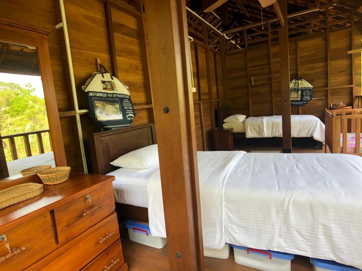 Wanakaset Forest Glamping Kitulgala Ngoại thất bức ảnh