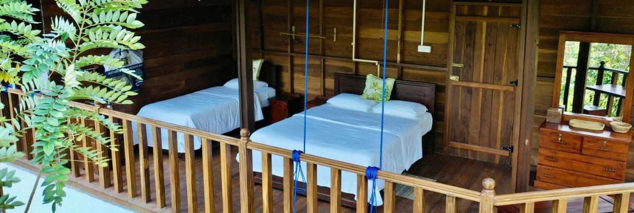 Wanakaset Forest Glamping Kitulgala Ngoại thất bức ảnh