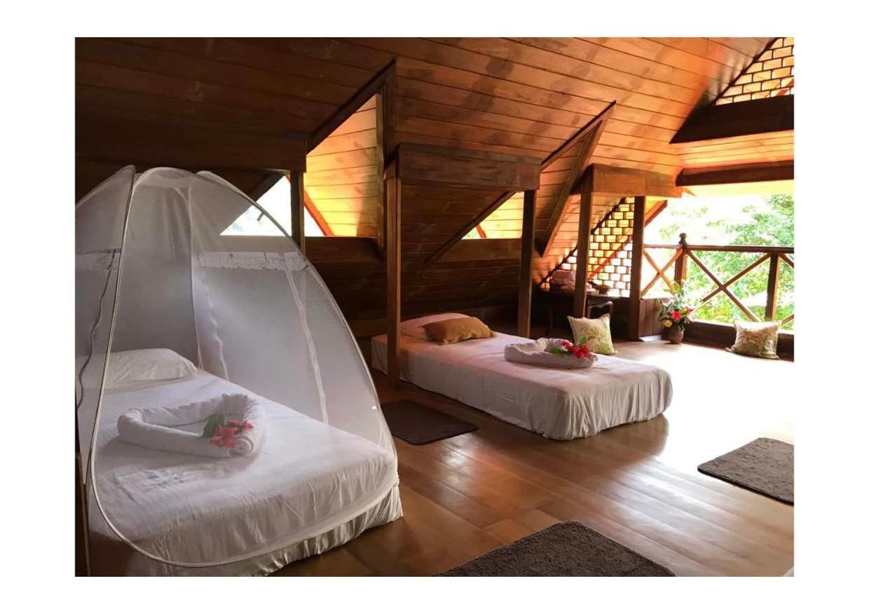 Wanakaset Forest Glamping Kitulgala Ngoại thất bức ảnh