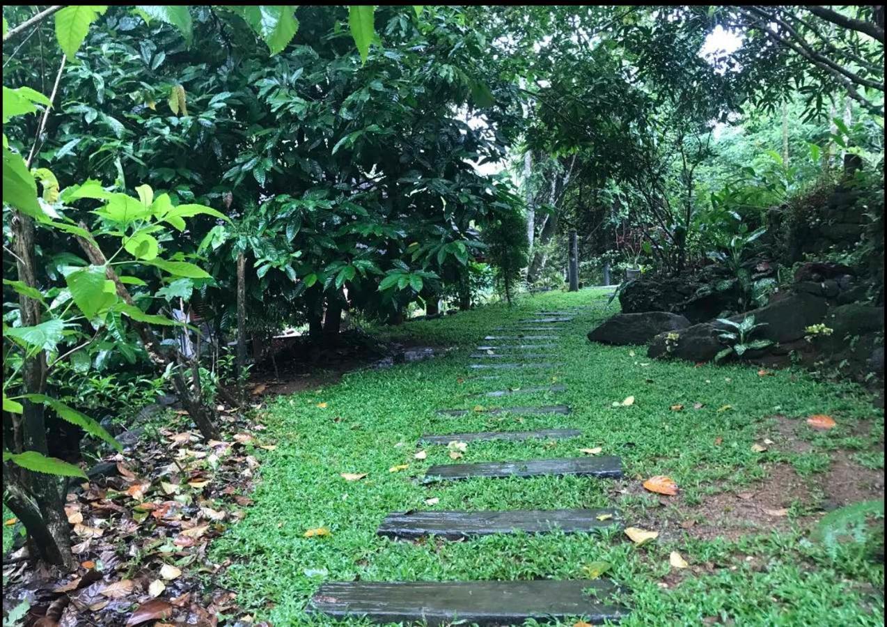 Wanakaset Forest Glamping Kitulgala Ngoại thất bức ảnh
