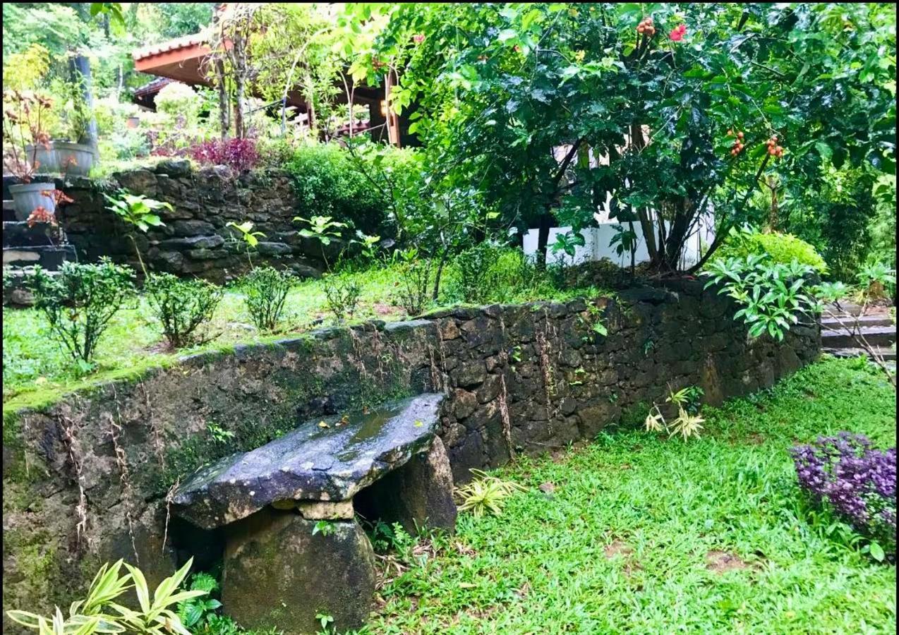 Wanakaset Forest Glamping Kitulgala Ngoại thất bức ảnh