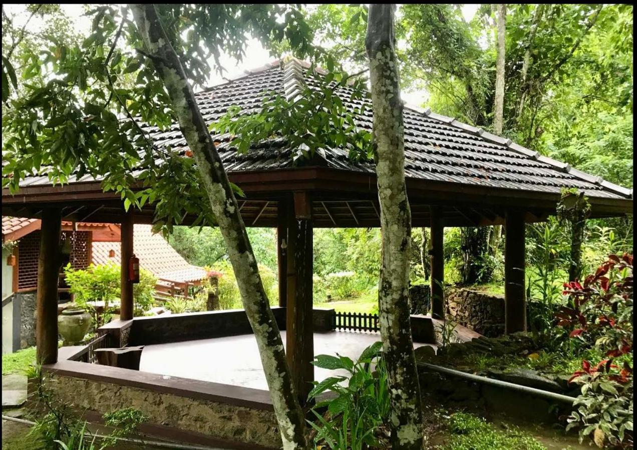 Wanakaset Forest Glamping Kitulgala Ngoại thất bức ảnh