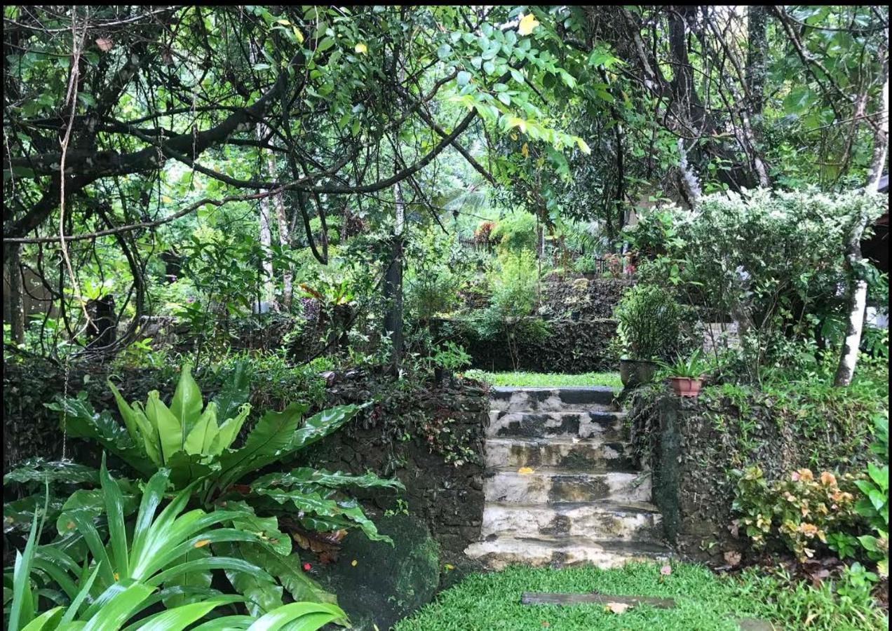 Wanakaset Forest Glamping Kitulgala Ngoại thất bức ảnh