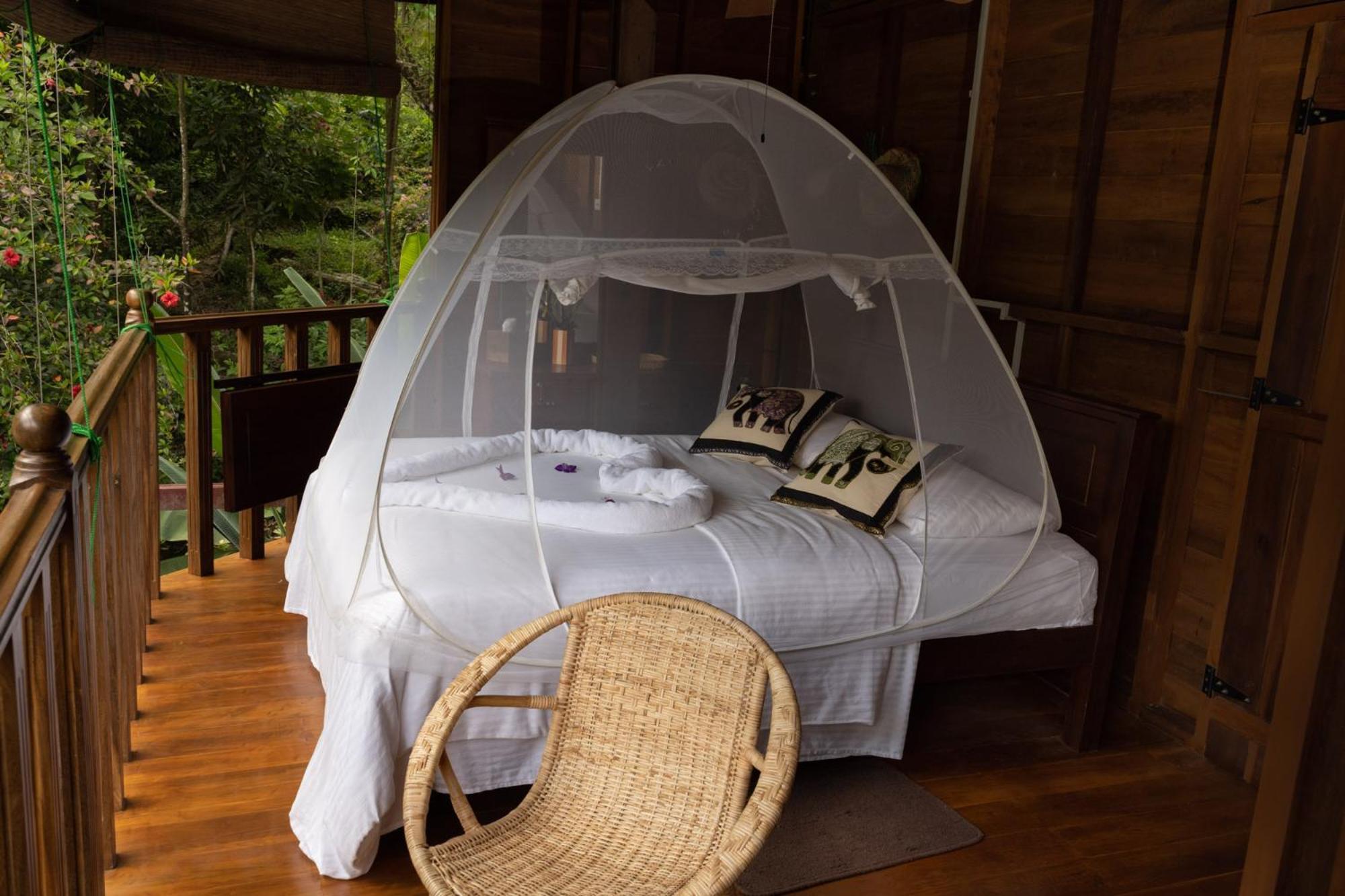 Wanakaset Forest Glamping Kitulgala Ngoại thất bức ảnh