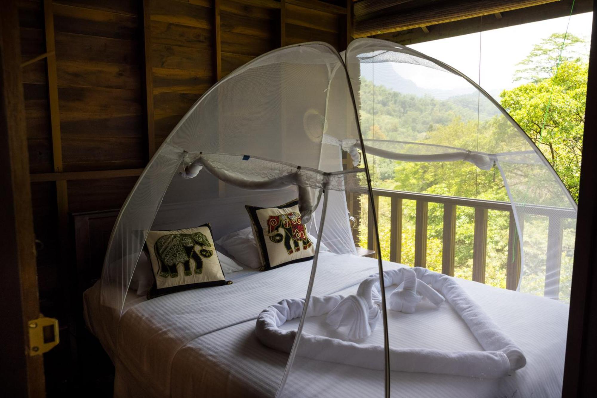 Wanakaset Forest Glamping Kitulgala Ngoại thất bức ảnh