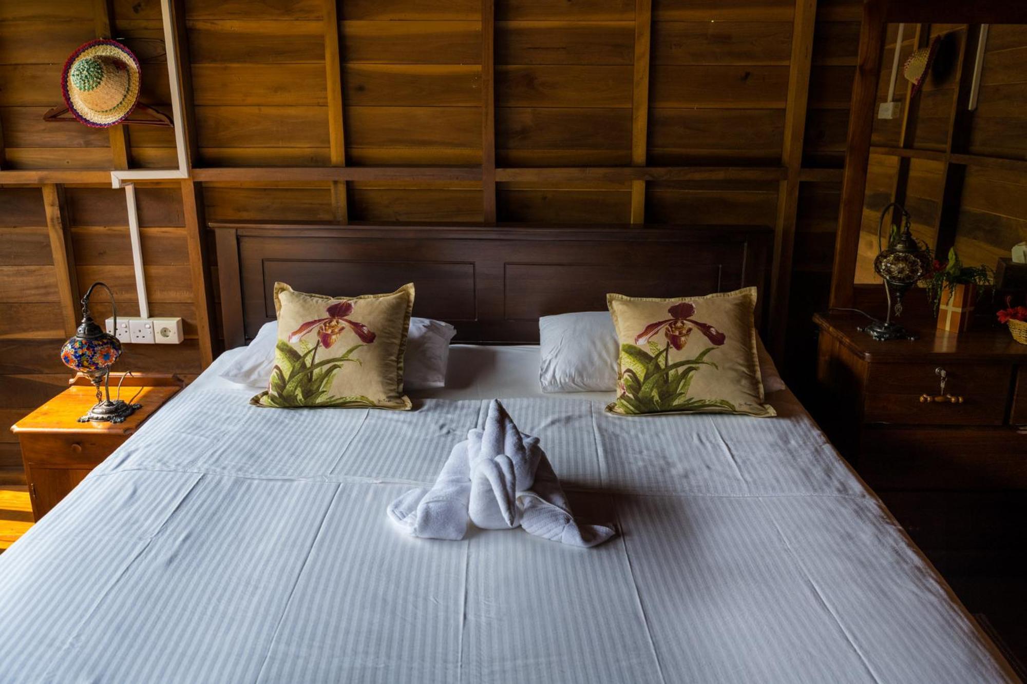 Wanakaset Forest Glamping Kitulgala Ngoại thất bức ảnh