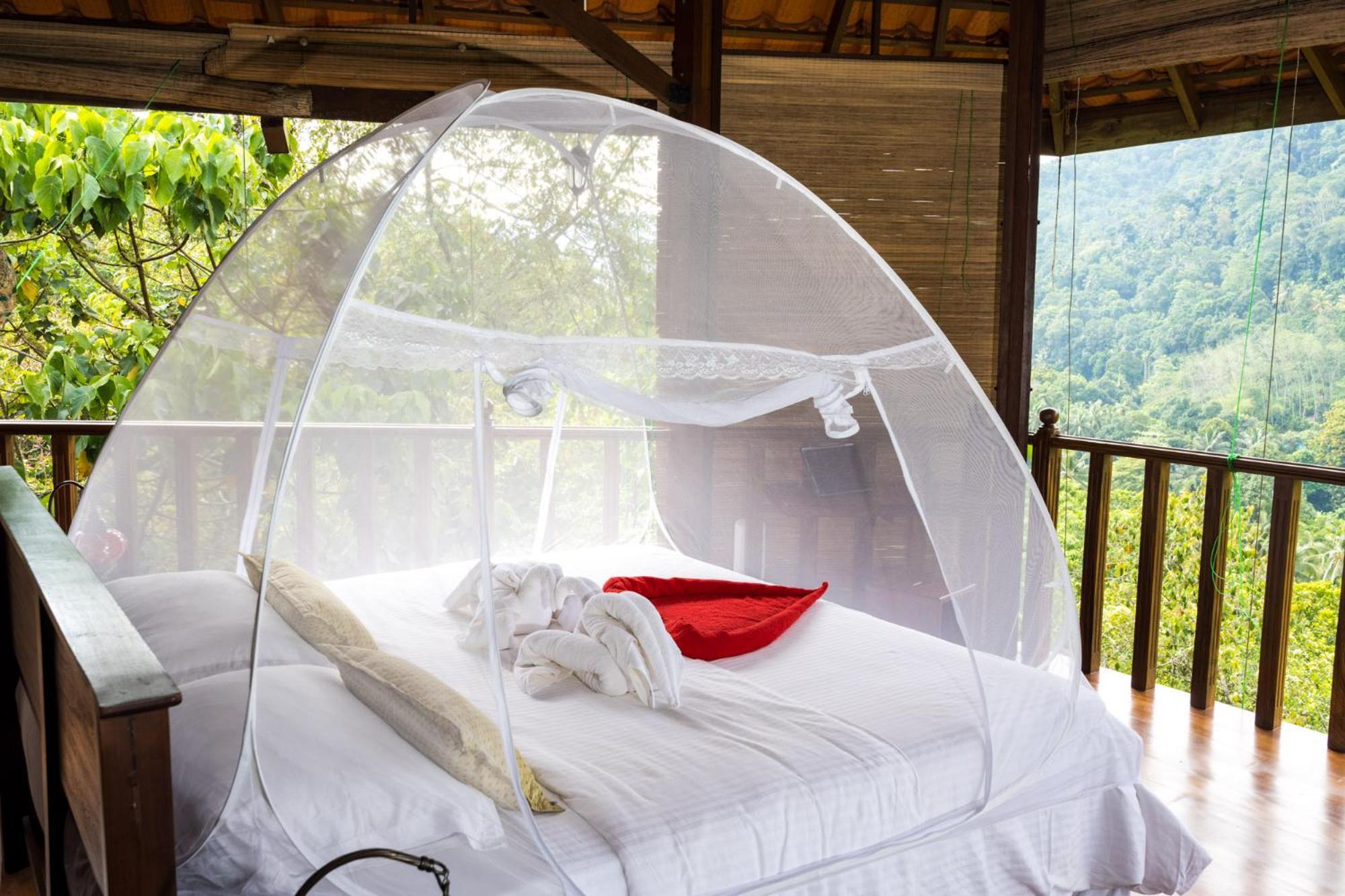 Wanakaset Forest Glamping Kitulgala Ngoại thất bức ảnh