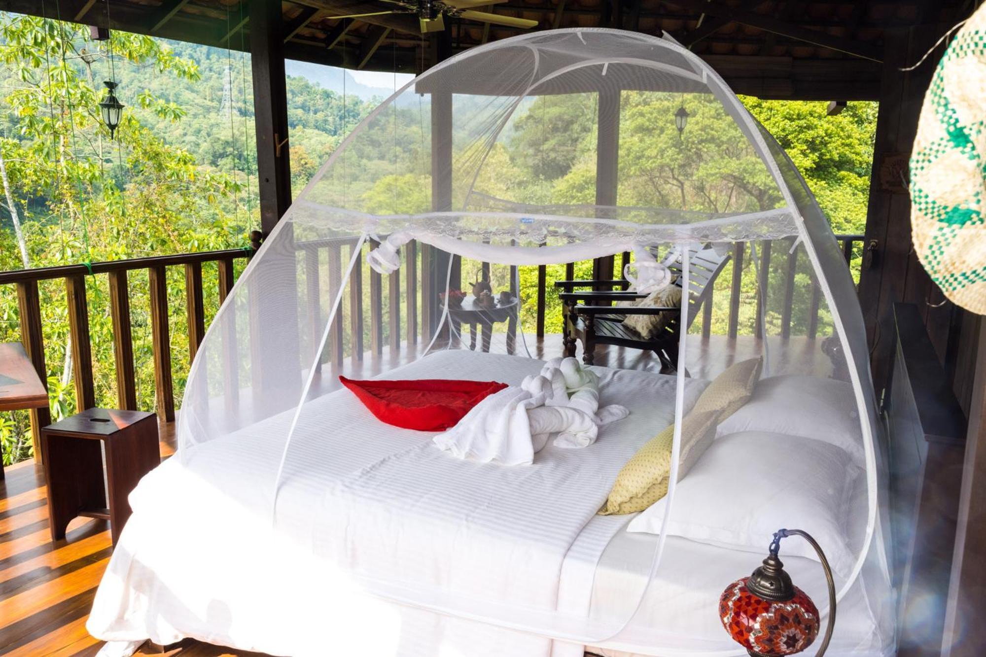 Wanakaset Forest Glamping Kitulgala Ngoại thất bức ảnh