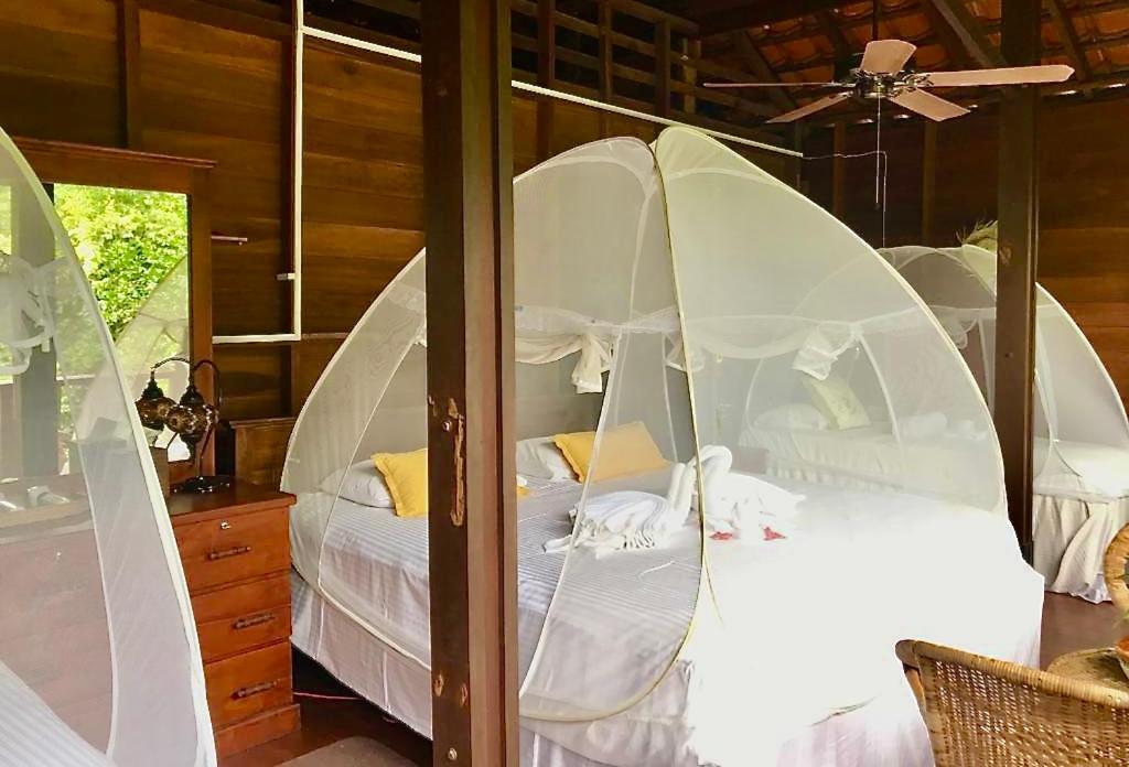 Wanakaset Forest Glamping Kitulgala Ngoại thất bức ảnh