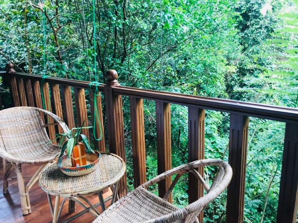 Wanakaset Forest Glamping Kitulgala Ngoại thất bức ảnh