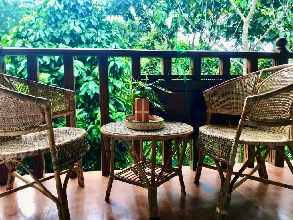 Wanakaset Forest Glamping Kitulgala Ngoại thất bức ảnh