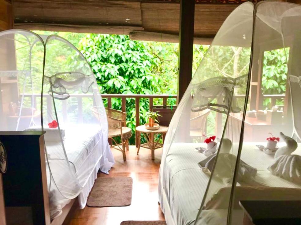 Wanakaset Forest Glamping Kitulgala Ngoại thất bức ảnh