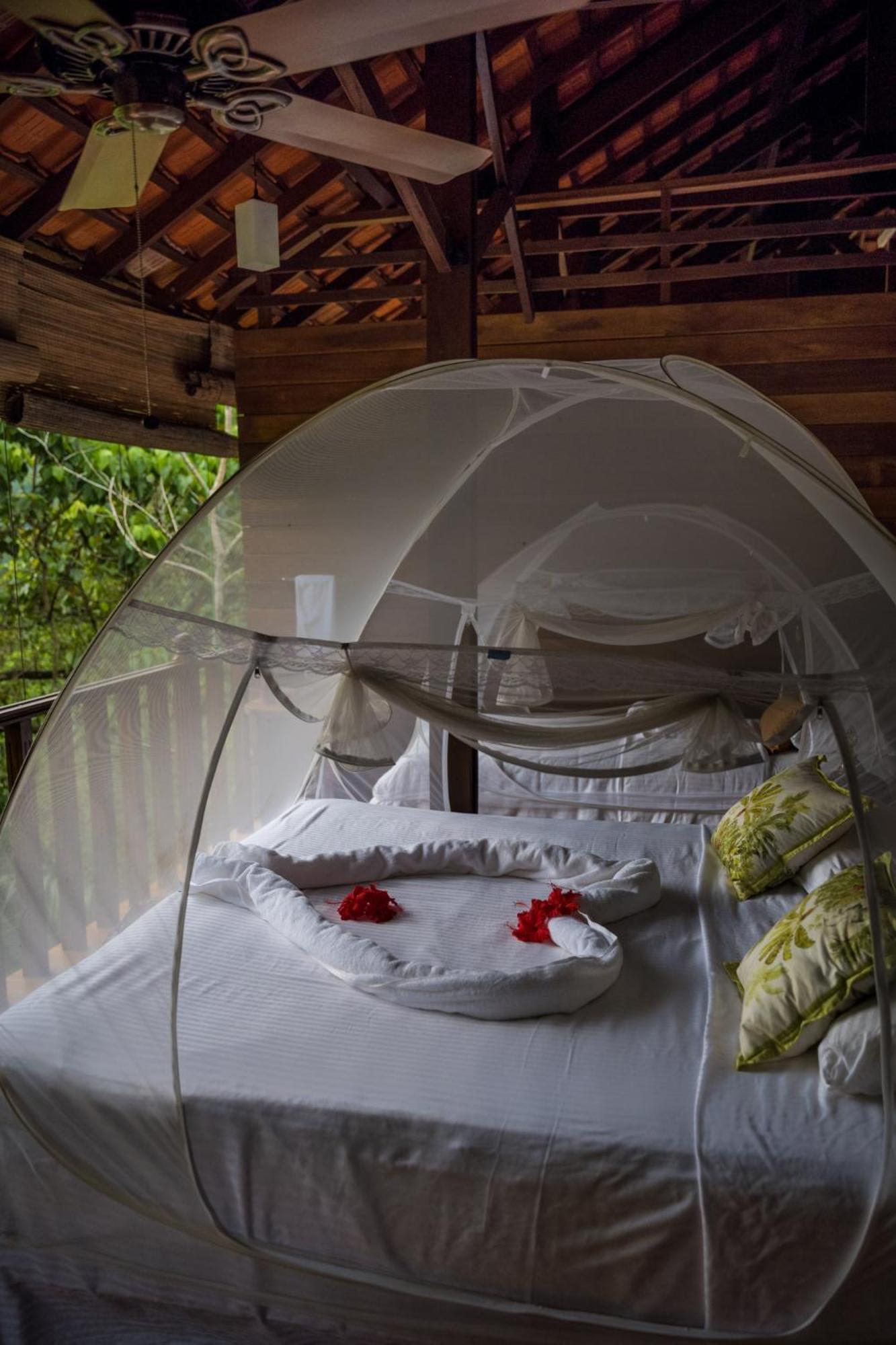 Wanakaset Forest Glamping Kitulgala Ngoại thất bức ảnh