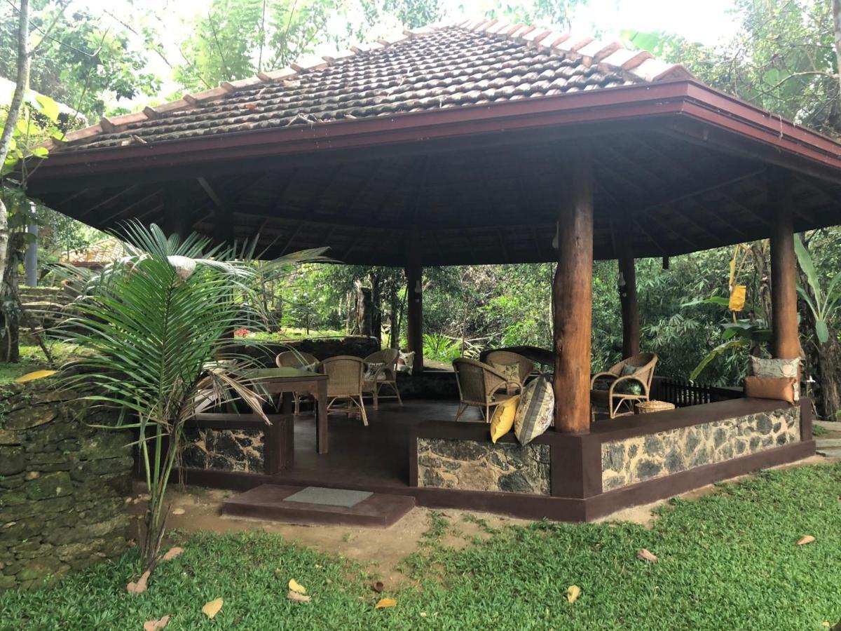 Wanakaset Forest Glamping Kitulgala Ngoại thất bức ảnh