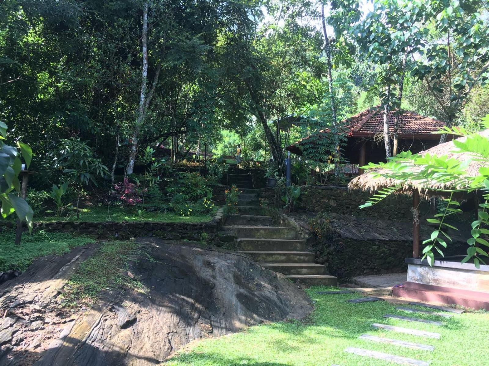 Wanakaset Forest Glamping Kitulgala Ngoại thất bức ảnh