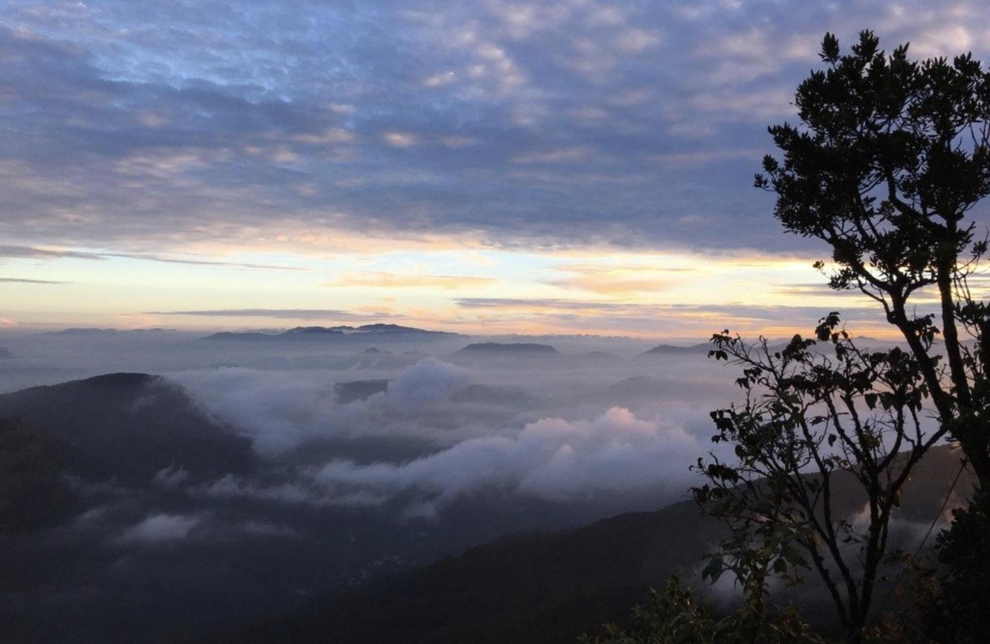 Wanakaset Forest Glamping Kitulgala Ngoại thất bức ảnh