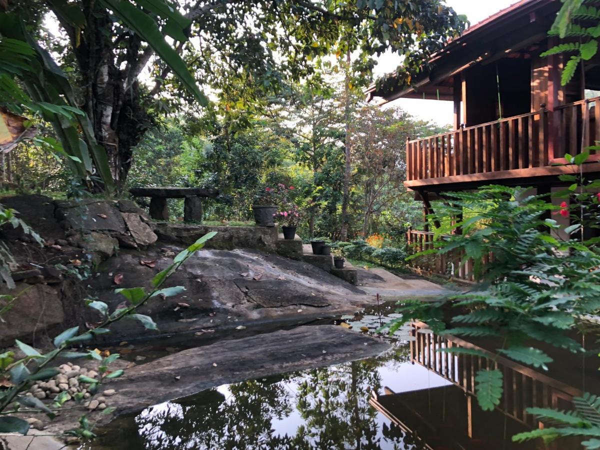 Wanakaset Forest Glamping Kitulgala Ngoại thất bức ảnh