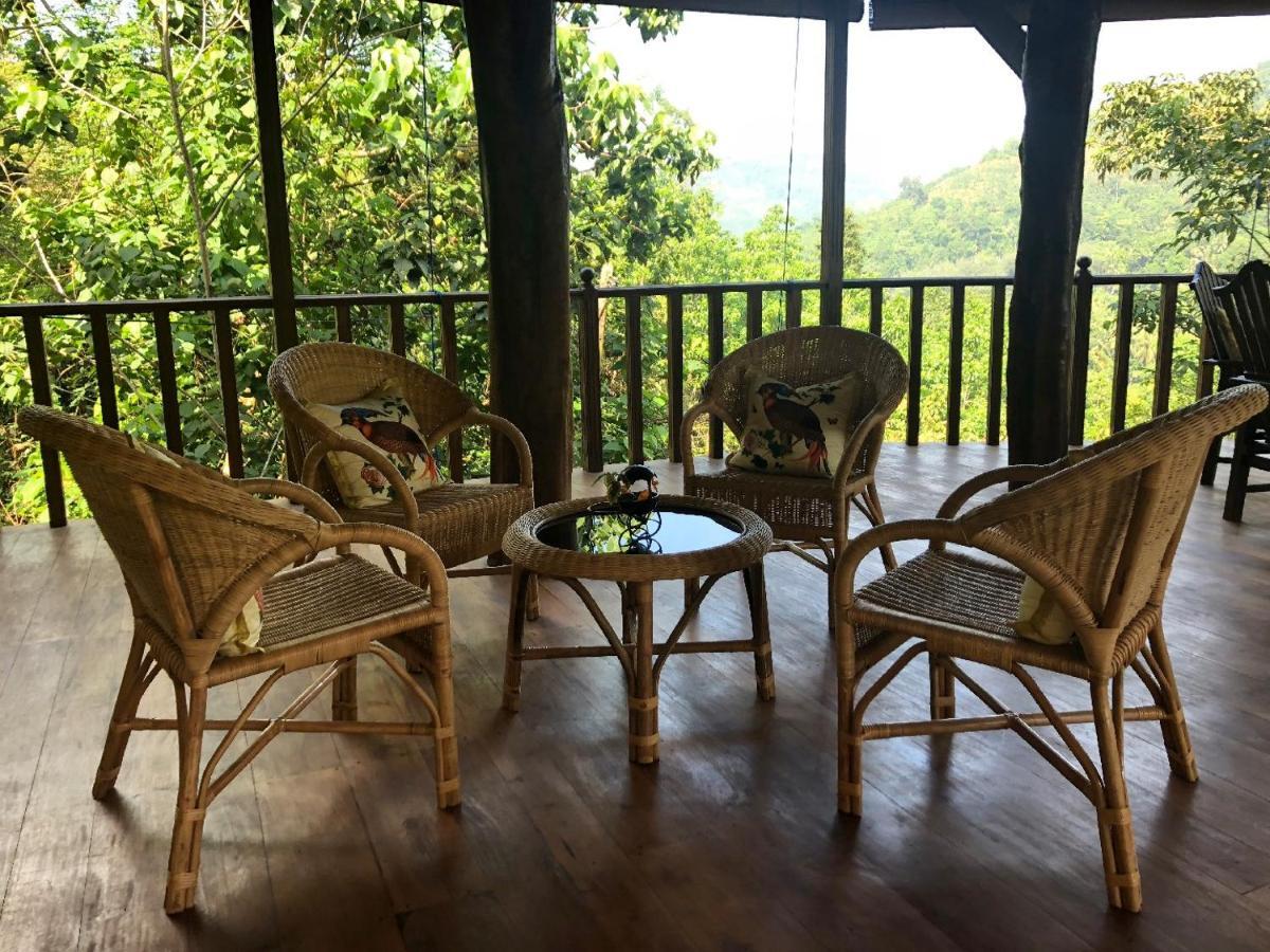 Wanakaset Forest Glamping Kitulgala Ngoại thất bức ảnh